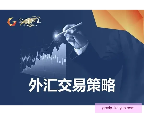 费耶诺德进攻套路分析：技术与策略相结合的表现趋势